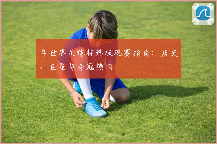 年世界足球杯终极观赛指南：历史、巨星与夺冠热门